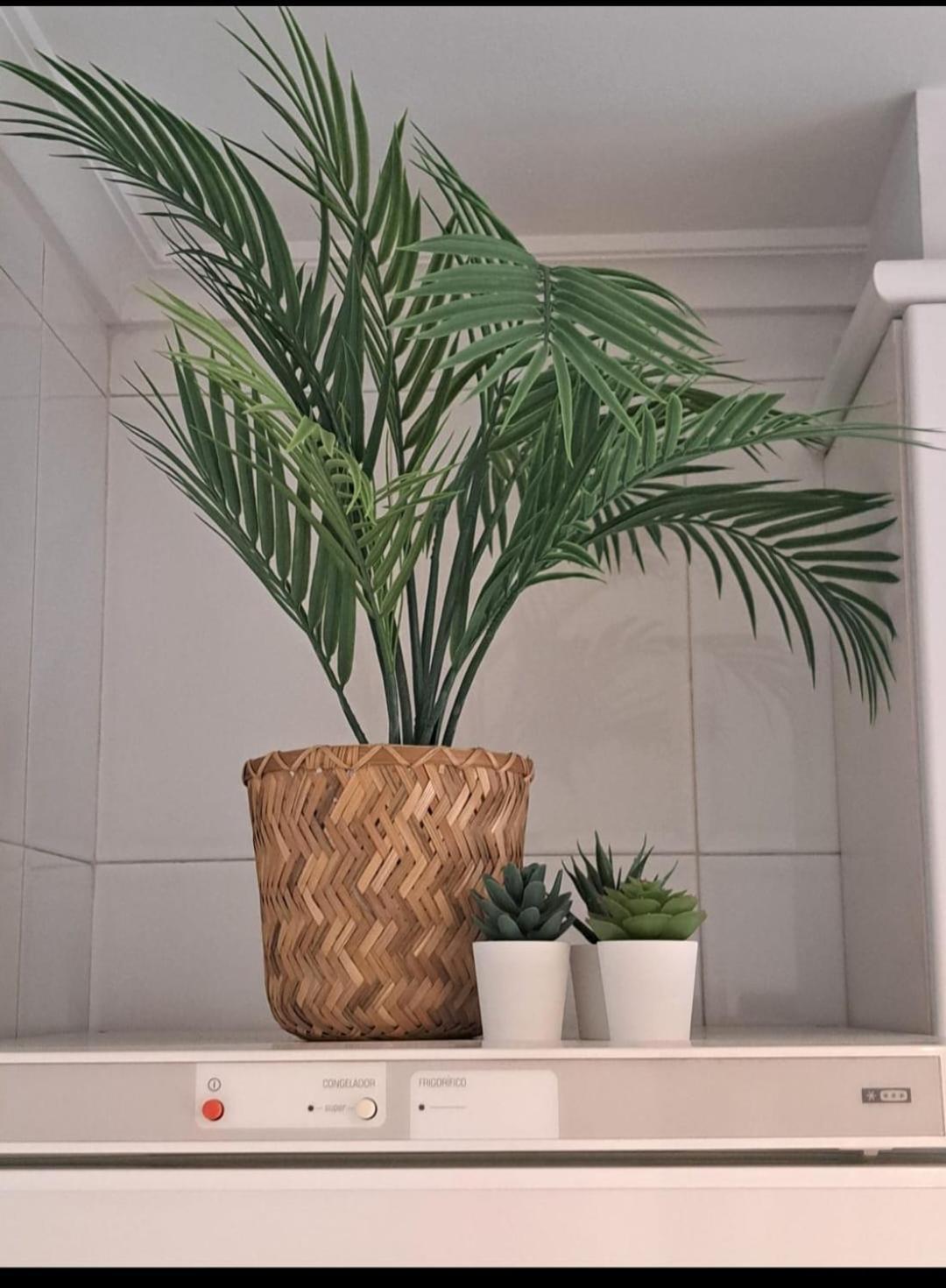 Apartamentos Rocamar Onís Εξωτερικό φωτογραφία